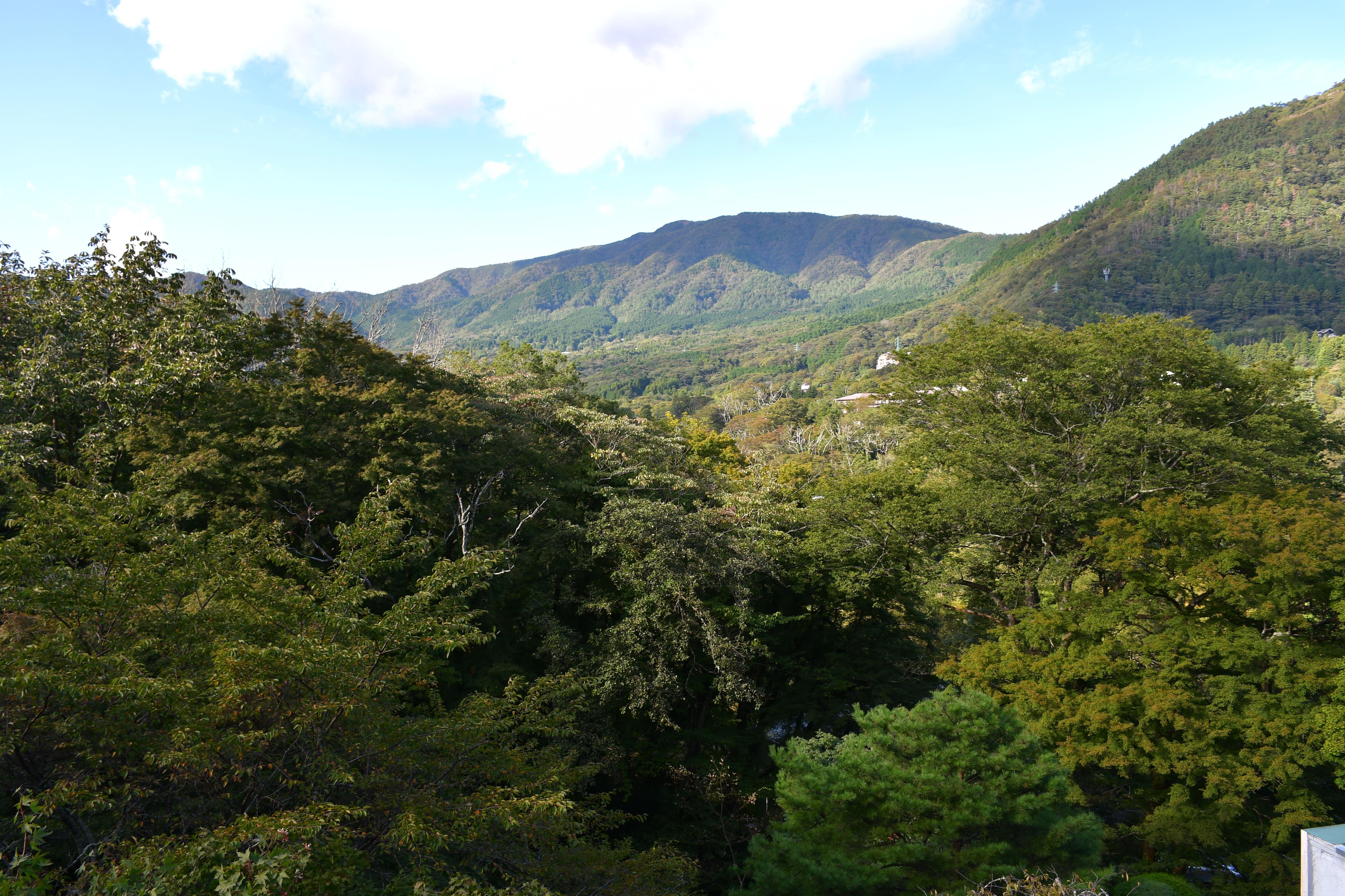 和室8畳（4階）